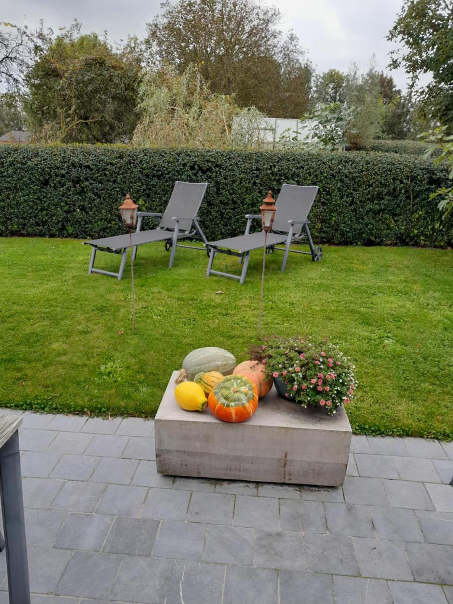 Vakantiehuis Schardauw Damme Exterior foto